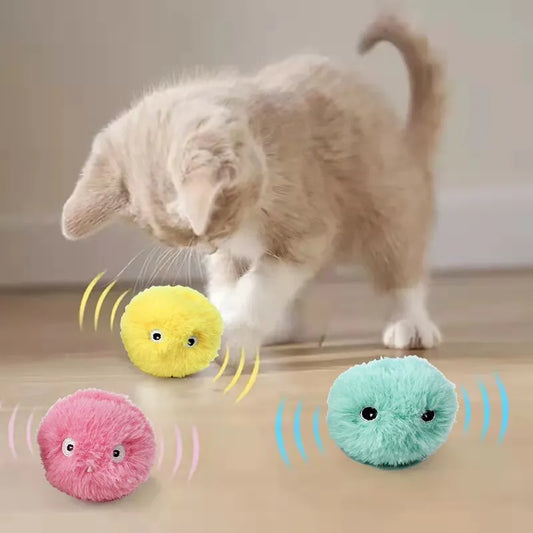 Interactive Catnip Ball Toy