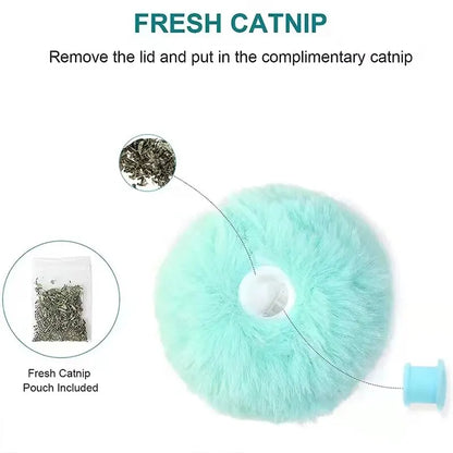 Interactive Catnip Ball Toy